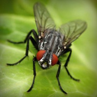 /album/boiterrepho/photolia-a01-jpg/
