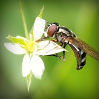 /album/boiterrepho/photolia-a02-jpg/