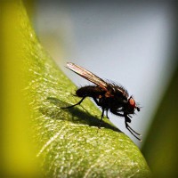 /album/boiterrepho/photolia-a04-jpg/