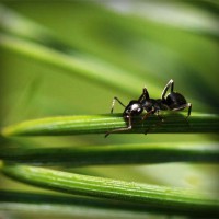 /album/boiterrepho/photolia-a05-jpg/