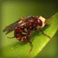 /album/boiterrepho/photolia-a06-jpg/