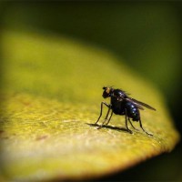 /album/boiterrepho/photolia-a07-jpg/