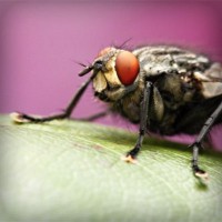 /album/boiterrepho/photolia-a08-jpg/